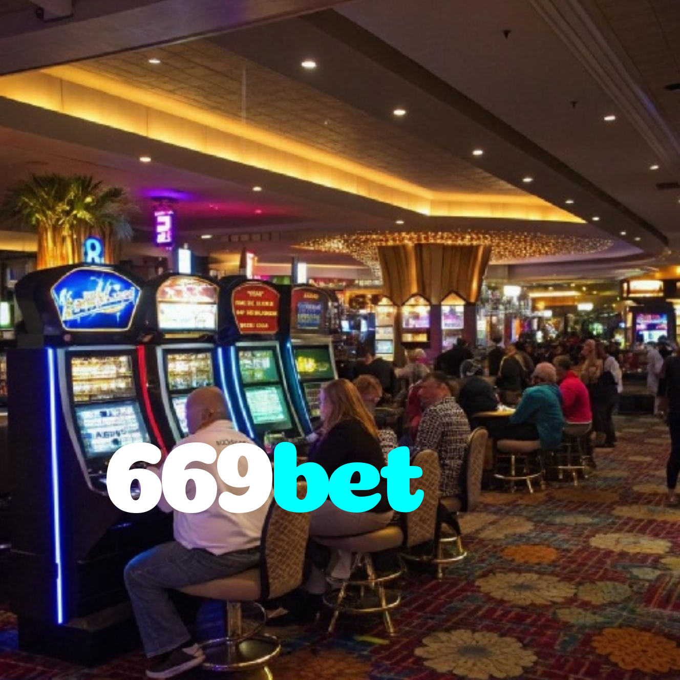 669bet
