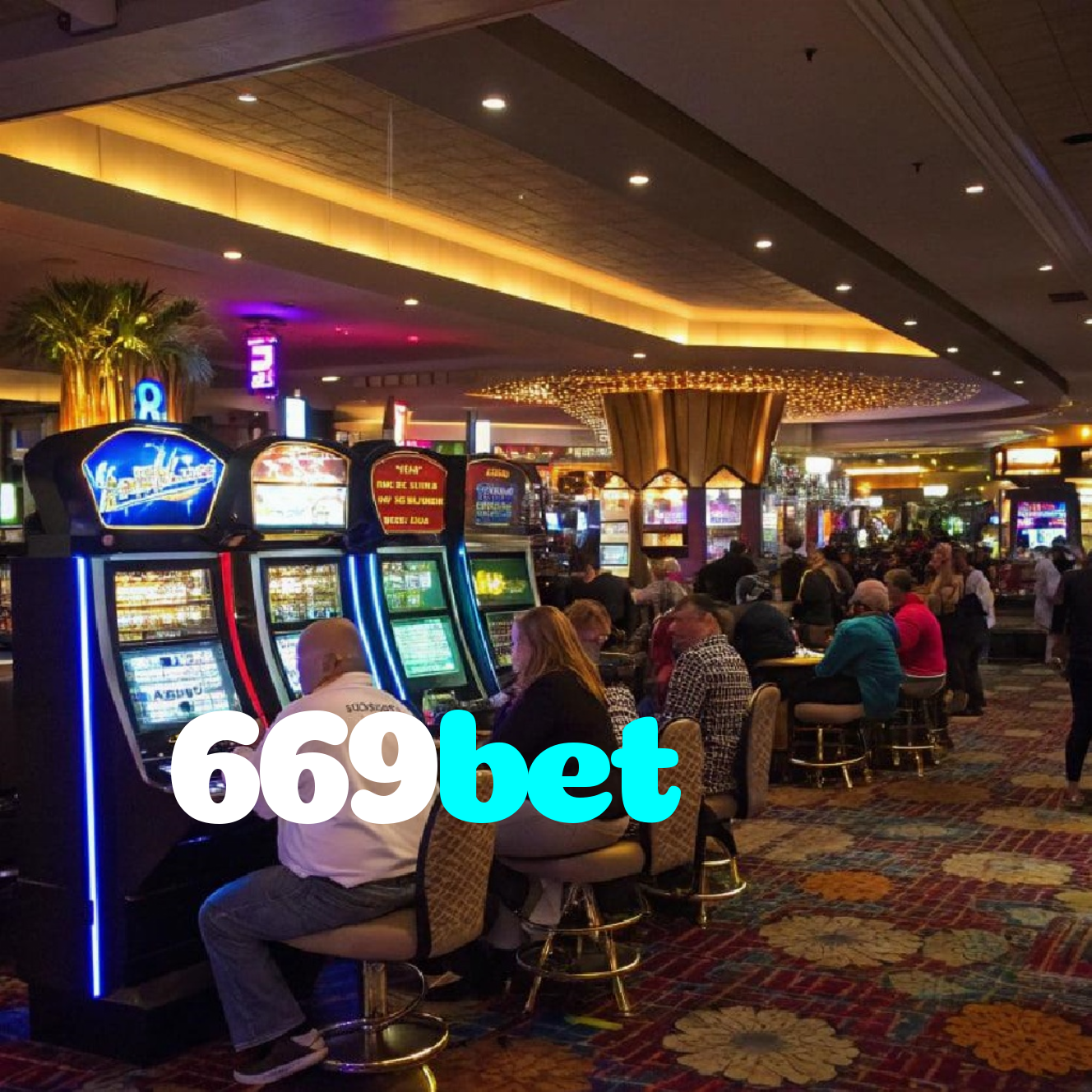 669bet